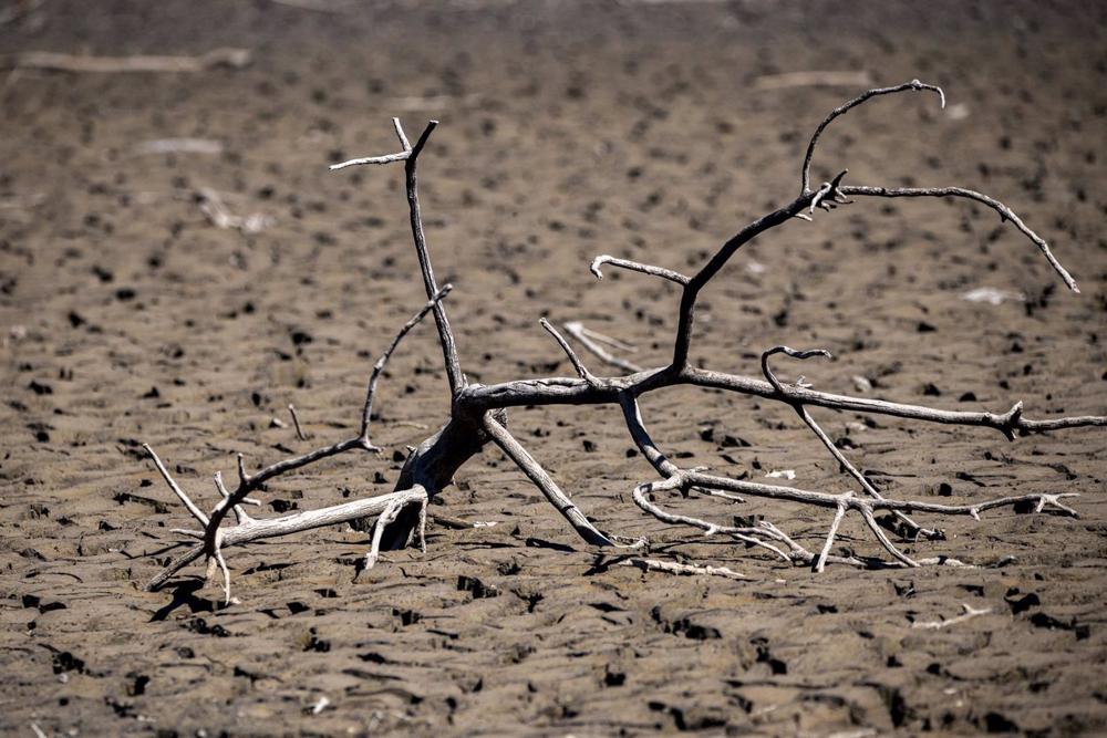 Imágenes de la sequía en el pantano de Sau Imágenes