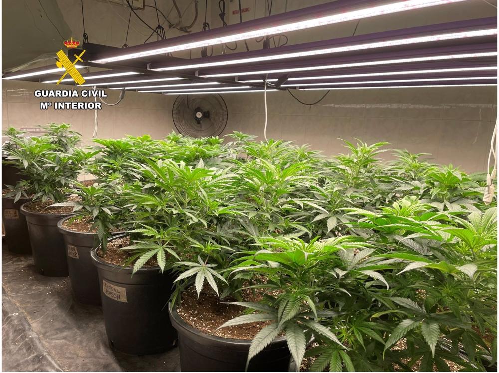 Nueve detenidos por tráfico de drogas en la operación donde dispararon a cuatro agentes en El Moralet Nueve