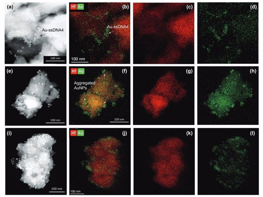 Test rápido viruela del mono Test