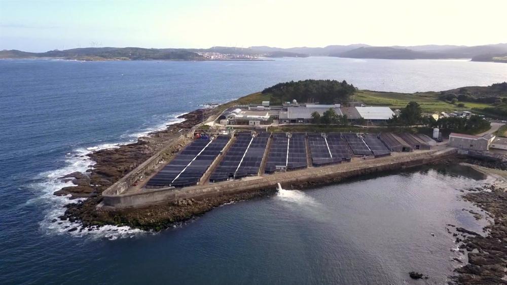 Telefónica Tech digitalizará 14 granjas acuícolas de Stolt Sea Farm en cinco años Telefónica