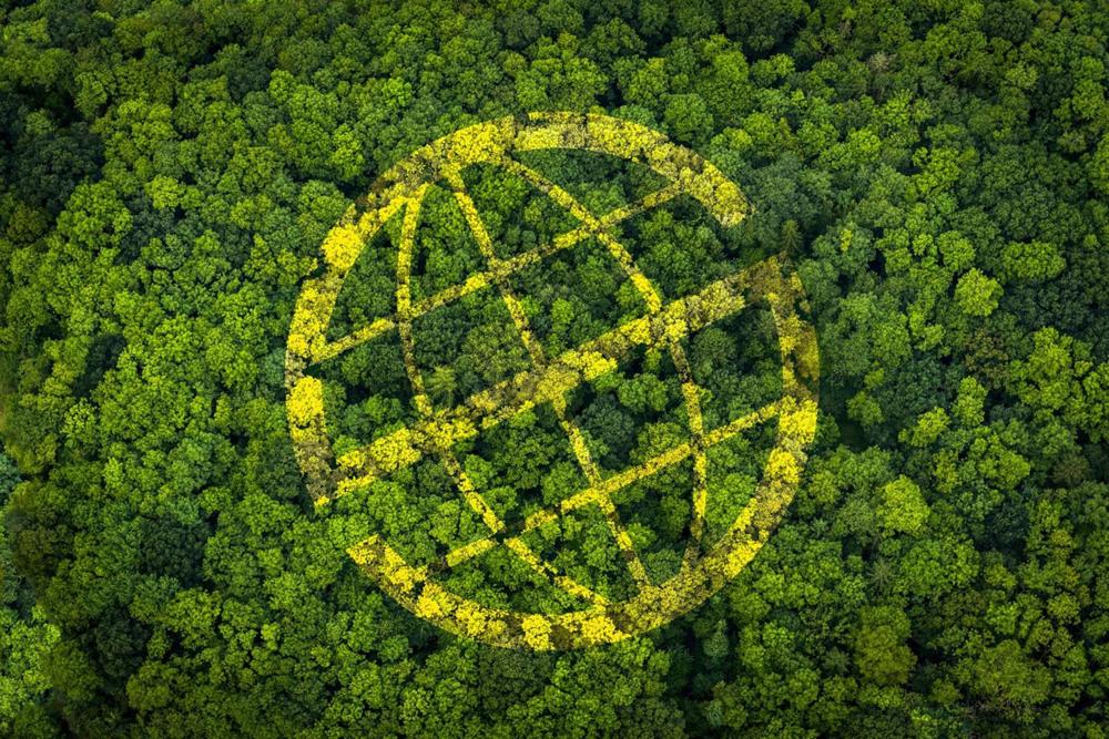 Prosegur lanza un proyecto de compensación de emisiones Prosegur