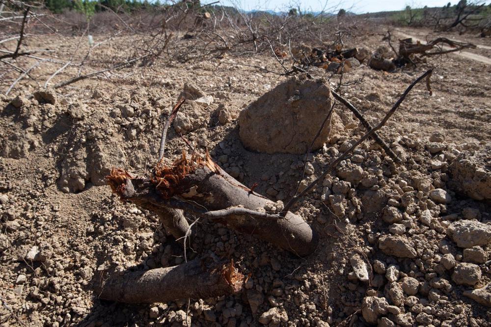 Detalles de la tierra seca en Murcia por la sequía Detalles