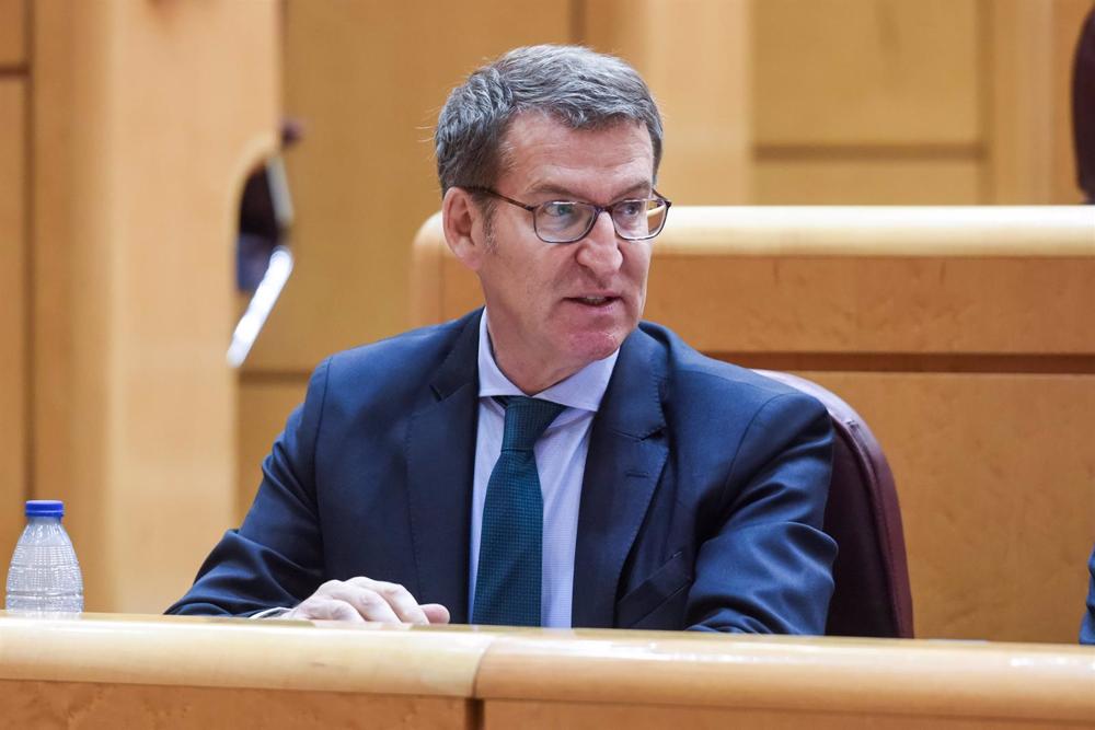 El presidente del PP, Alberto Núñez Feijóo El