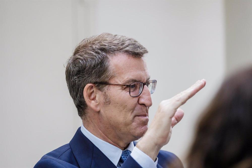 El presidente del PP, Alberto Núñez Feijóo El