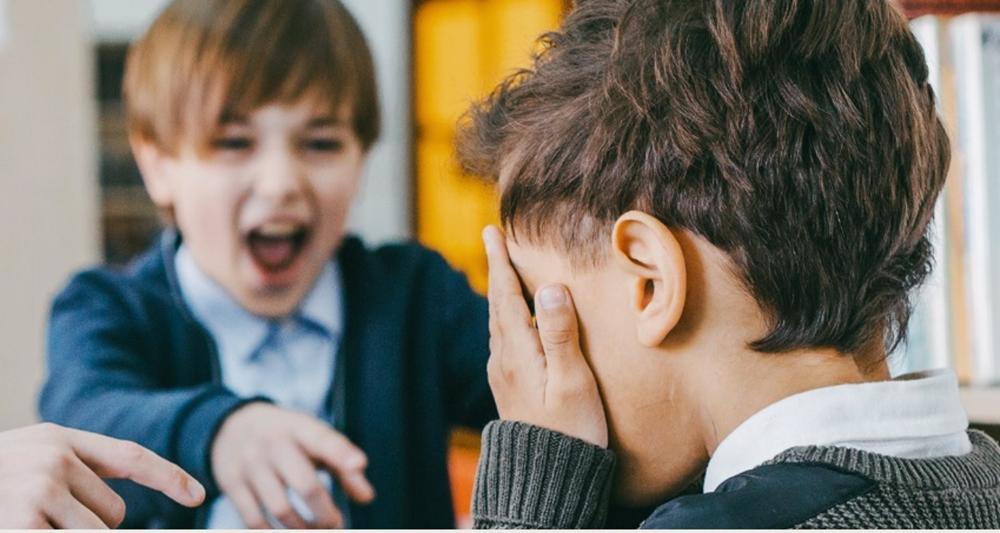 Acoso Escolar Y Género. Presente Y Futuro De Una Realidad Preocupante