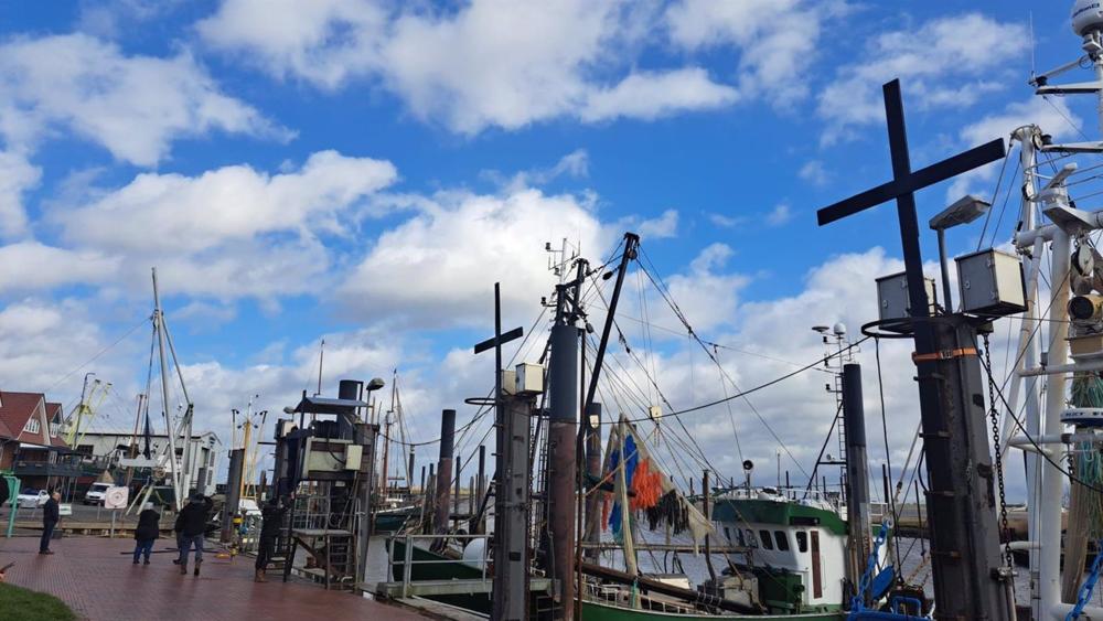 Barcos