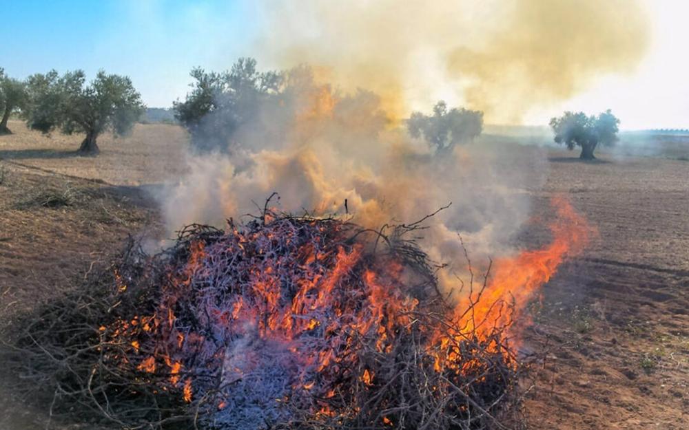 La Junta prolonga la prohibición de las quemas agrícolas para prevenir incendios forestales hasta el 15 de octubre. La