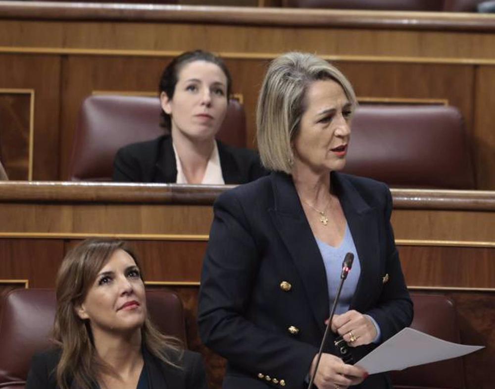 Archivo - Inés Cañizares, diputada de Vox, en una sesión de control Archivo