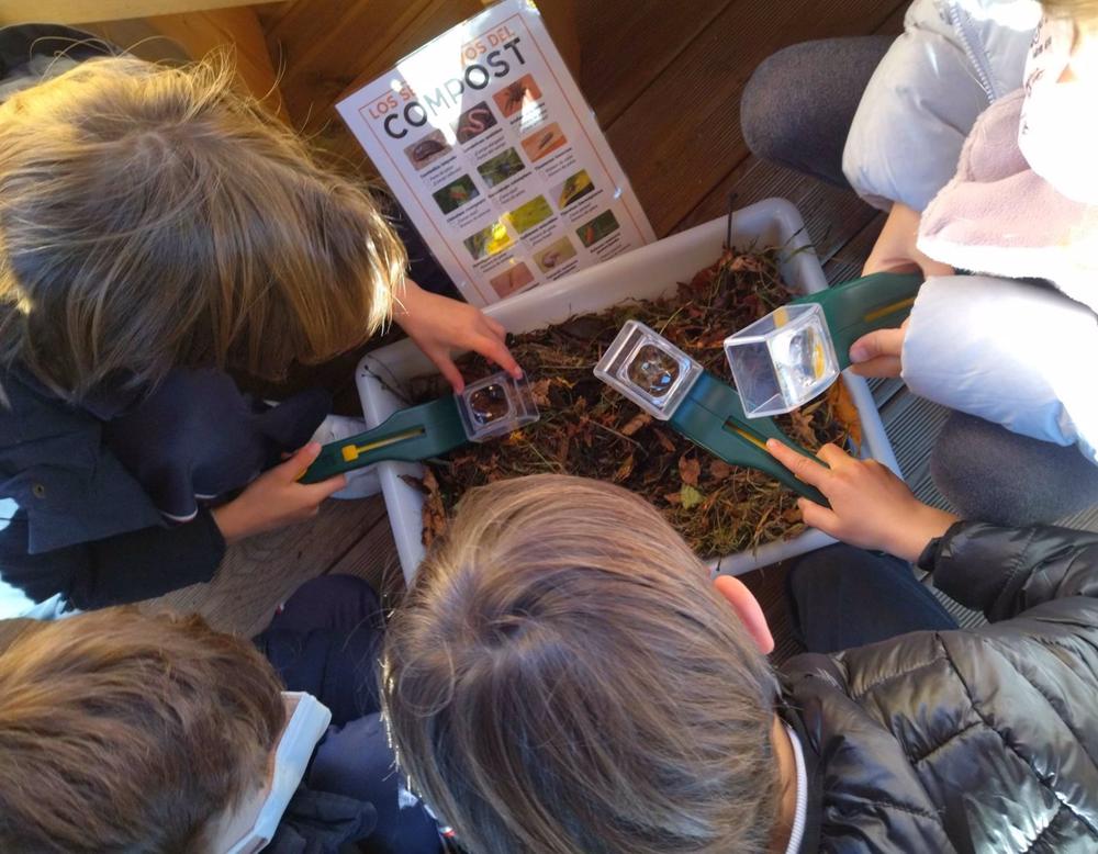 La última edición de esta iniciativa, liderada por personas con discapacidad, ha reunido a más de 30 centros educativos y más de 19.000 alumnos. La