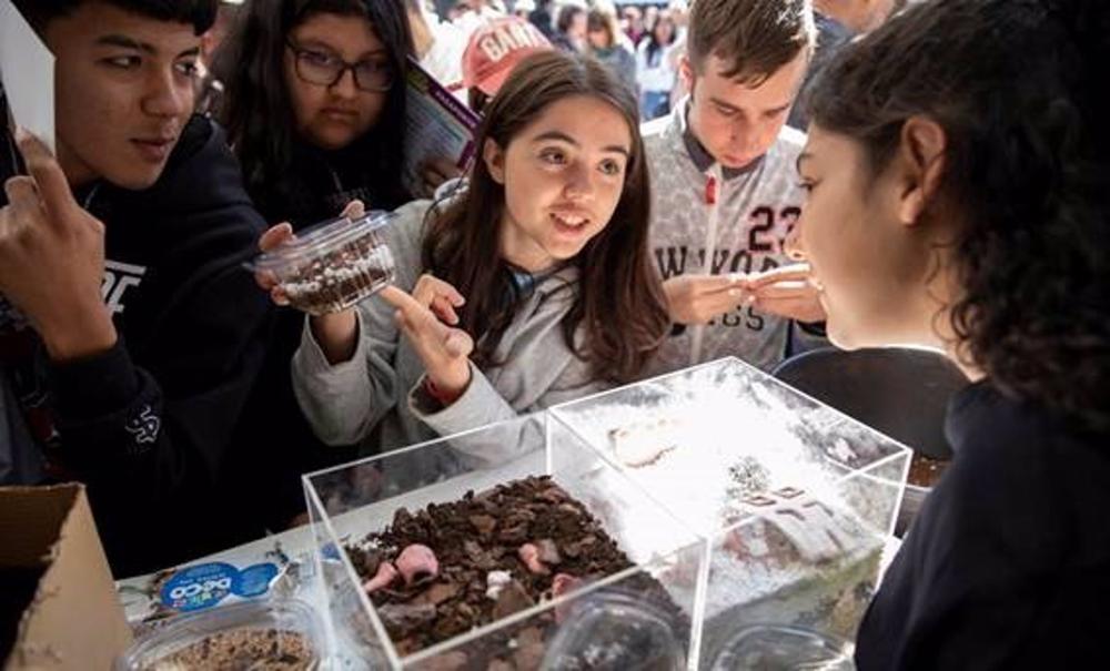 Más de 800 estudiantes de distritos vulnerables de Madrid y Sevilla participan en la 'IV Feria Ciencia en el Barrio' Más