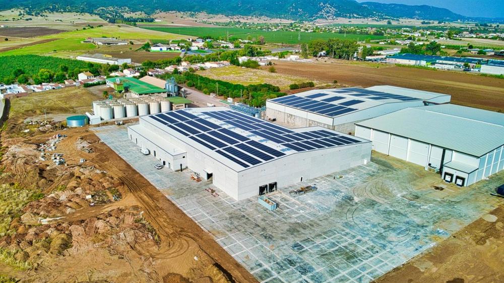 Almendrera de Dcoop en Villarrubia (Córdoba). Almendrera