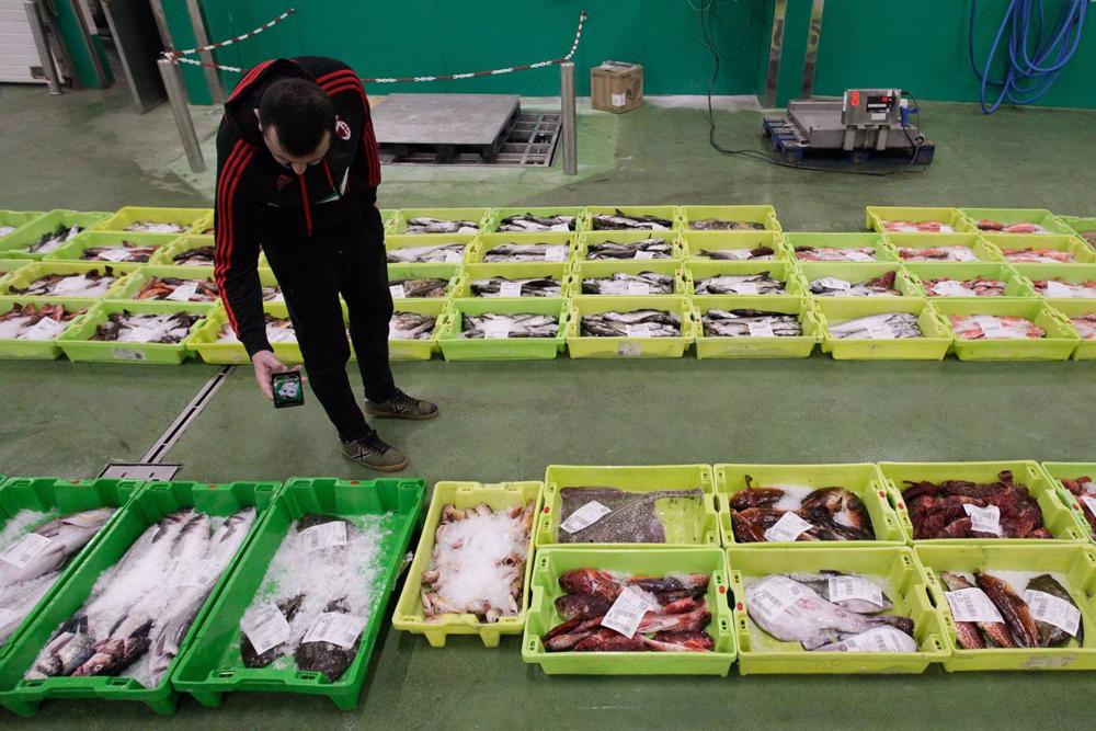 Archivo - Un hombre saca unas fotos a una caja con marisco en la lonja de Burela, a 15 de diciembre de 2022, en Burela, Lugo, Galicia, (España). Archivo