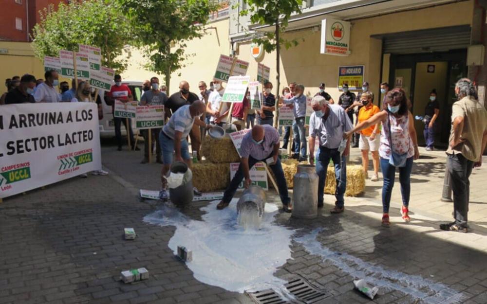 Concentración ante la distribución por los precios de la leche Concentración