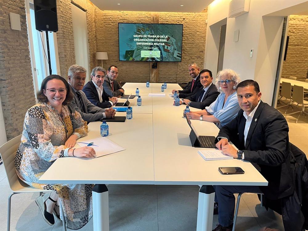 Reunión del Grupo de Trabajo del CGE en enfermería militar Reunión