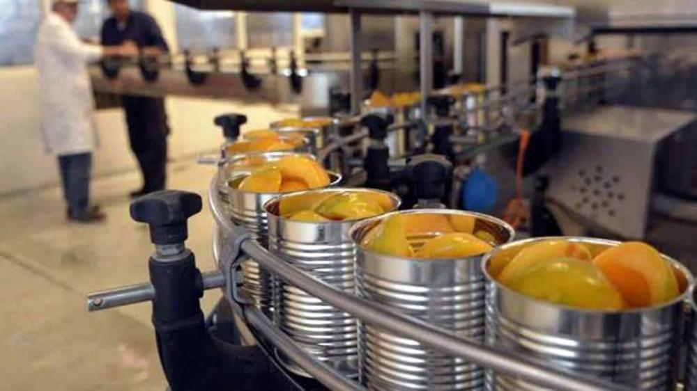 Conservas vegetales Conservas