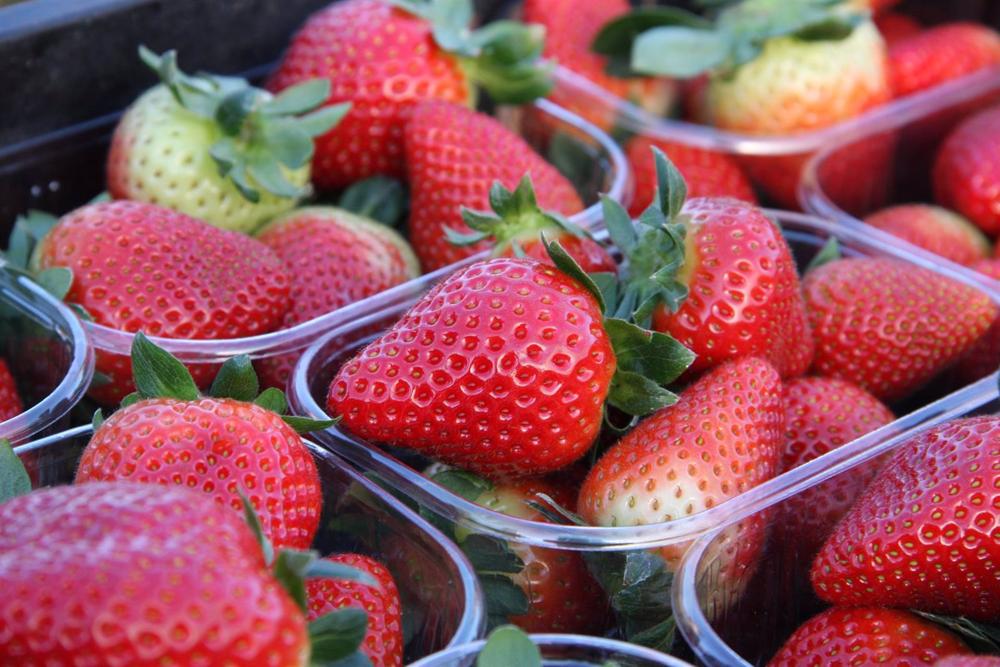 Tarrinas de fresas de Huelva. Tarrinas