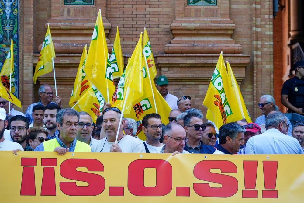 Manifestación