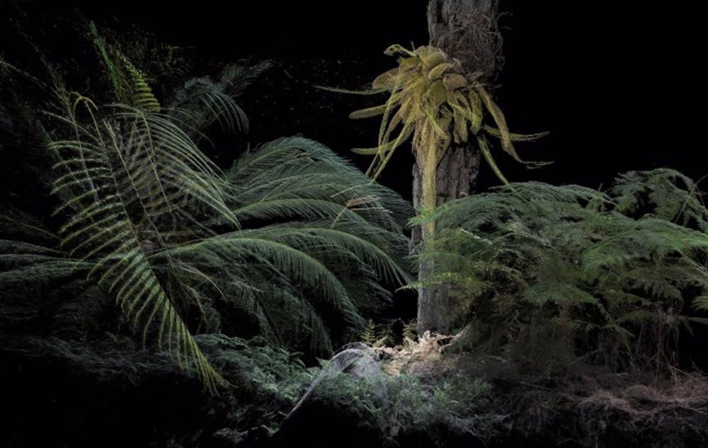 Las exposiciones de Fundación Enaire inauguran un año más el Festival PHotoESPAÑA en el Real Jardín Botánico. Las