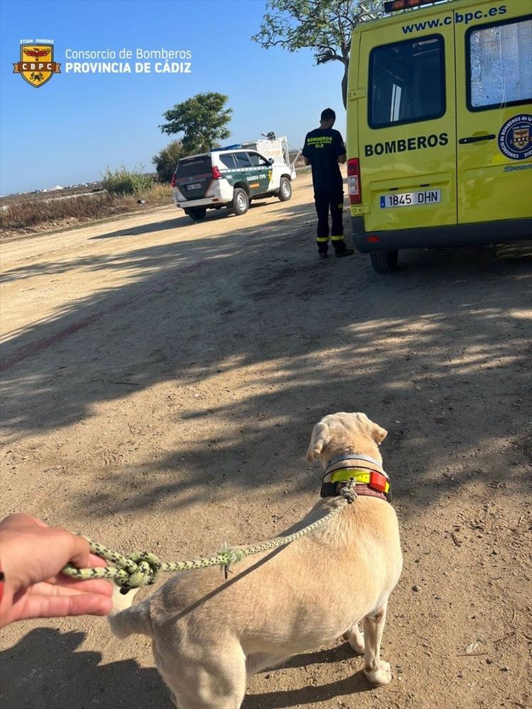 La unidad canina de Bomberos se une al dispositivo para hallar al vecino de 82 años desaparecido el sábado en Chiclana La