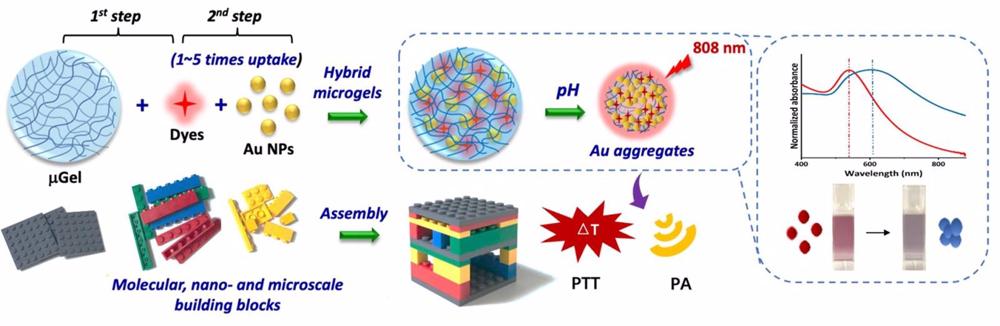 Archivo - Desarrollan microgeles con nanopartículas de oro que permiten diagnosticar y tratar tumores Archivo