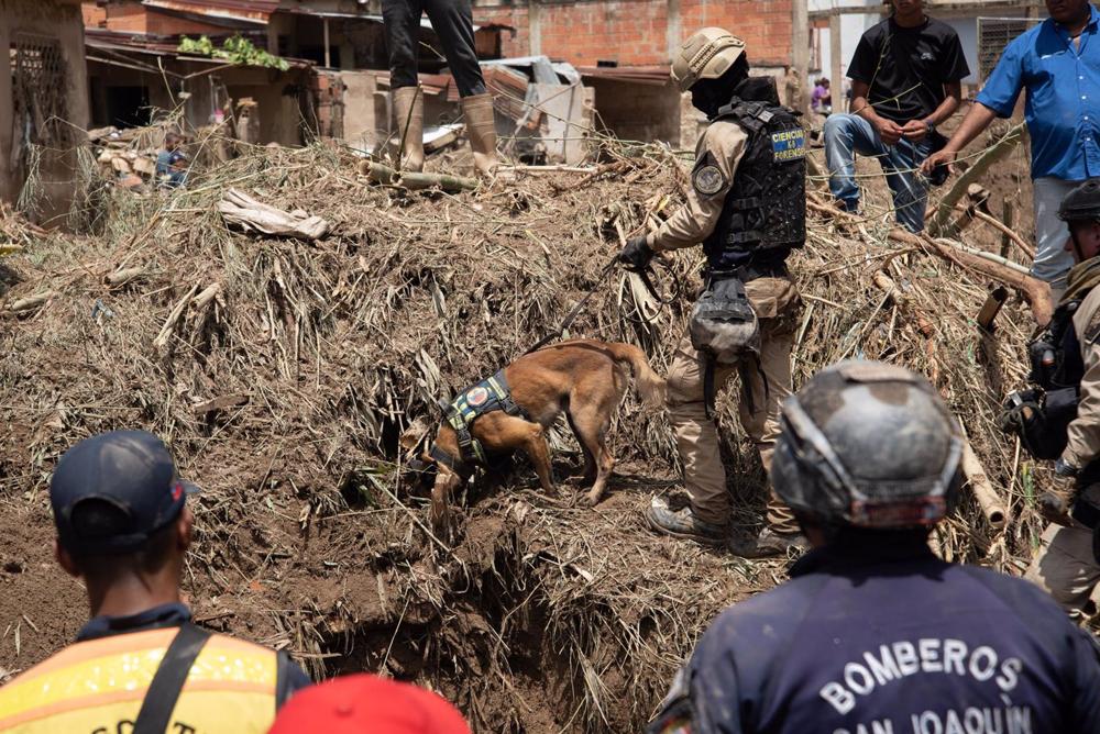Archivo - Foto de archivo de equipos de rescate de Venezuela Archivo