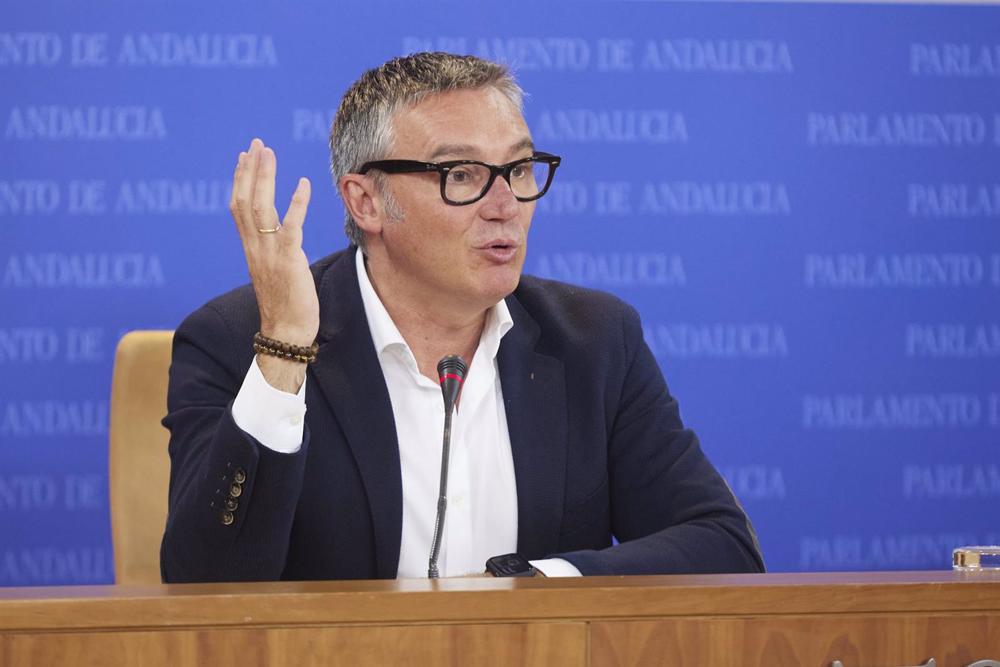 El portavoz del Grupo Parlamentario Vox, Manuel Gavira El