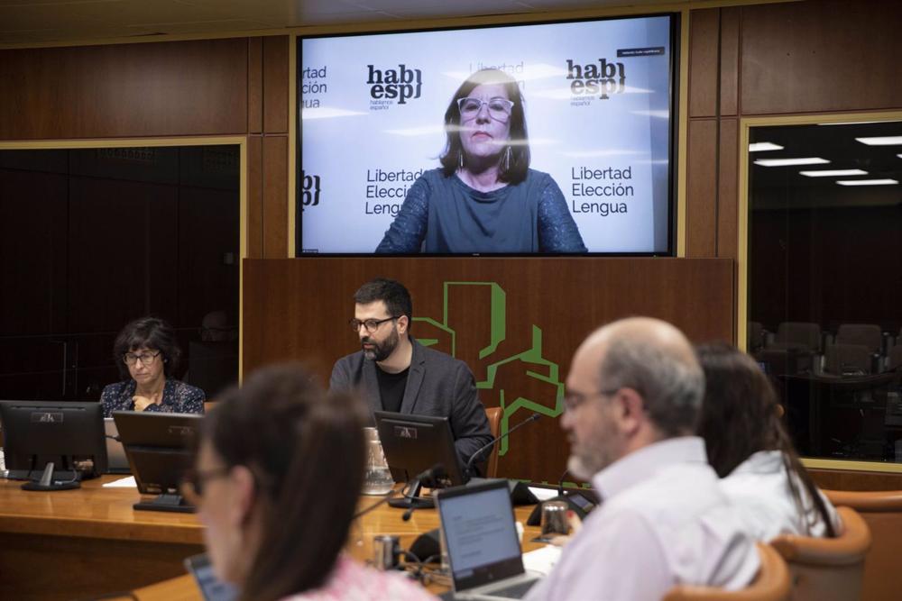 Comparecencia de la portavoz hablemos español en la comisión de educación del Parlamento Vasco Comparecencia